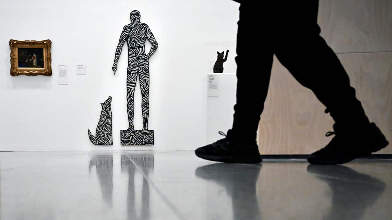 NGV CATS AND DOGS PREVIEW