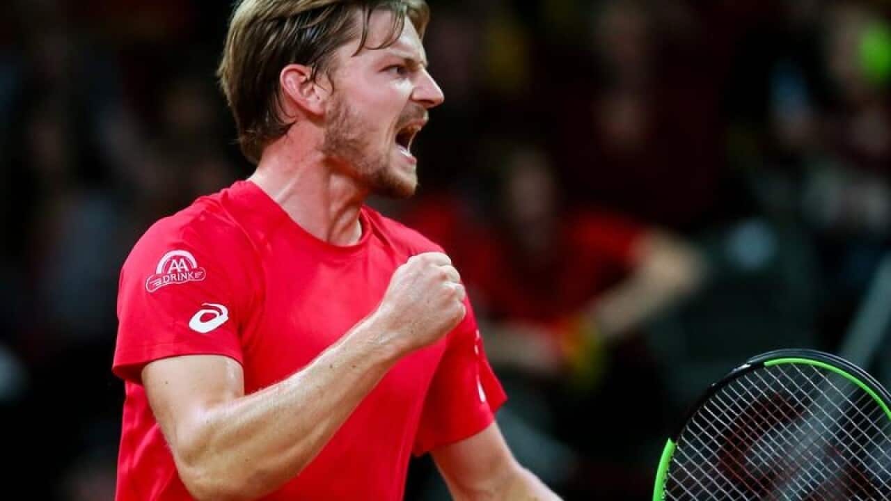 Belgian tennis player David Goffin
