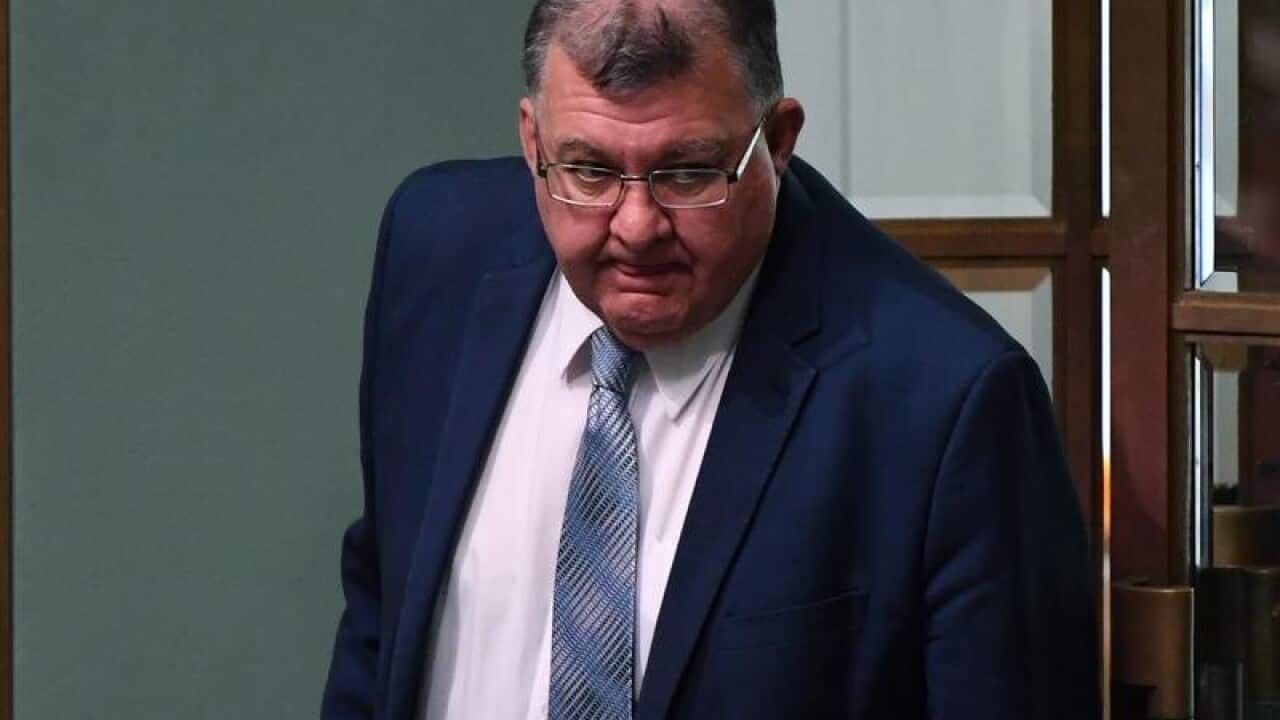 Liberal Member for Hughes Craig Kelly in parliament.
