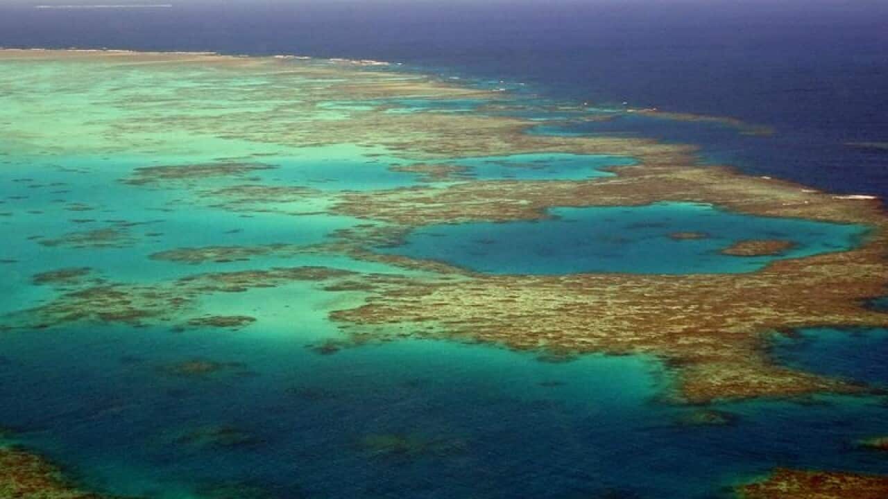 Landscape of the Great Barrier Reef in the Coral Sea