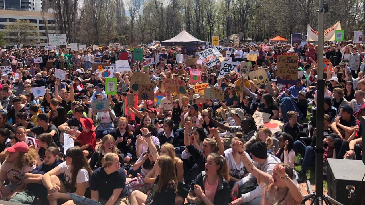 Crowds gathered at Glebe Park, Canberra as part of a global climate strike