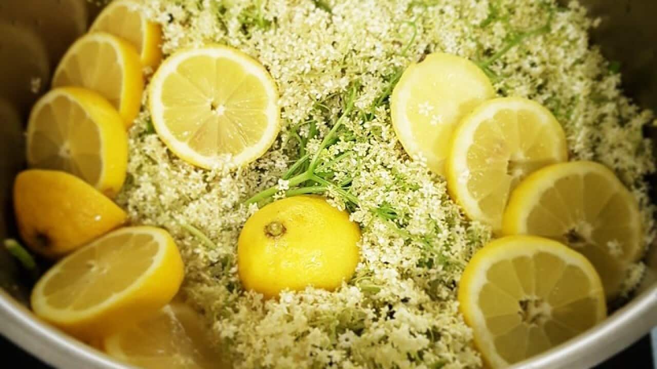 holundersirup infekte wohlbefinden gesundheit ernährung