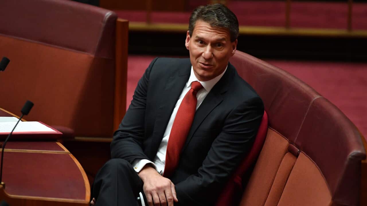 Senator Cory Bernardi.