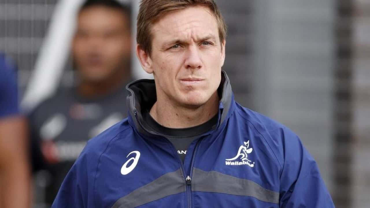 Wallabies player Dane Haylett-Petty.