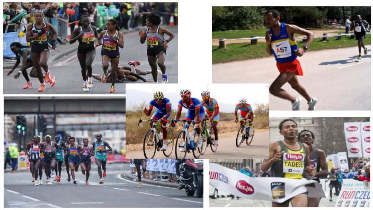 Weekly Sports