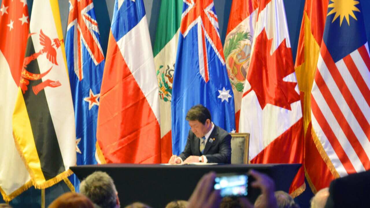 Eleven countries signed the TPP agreement in March without the United States.