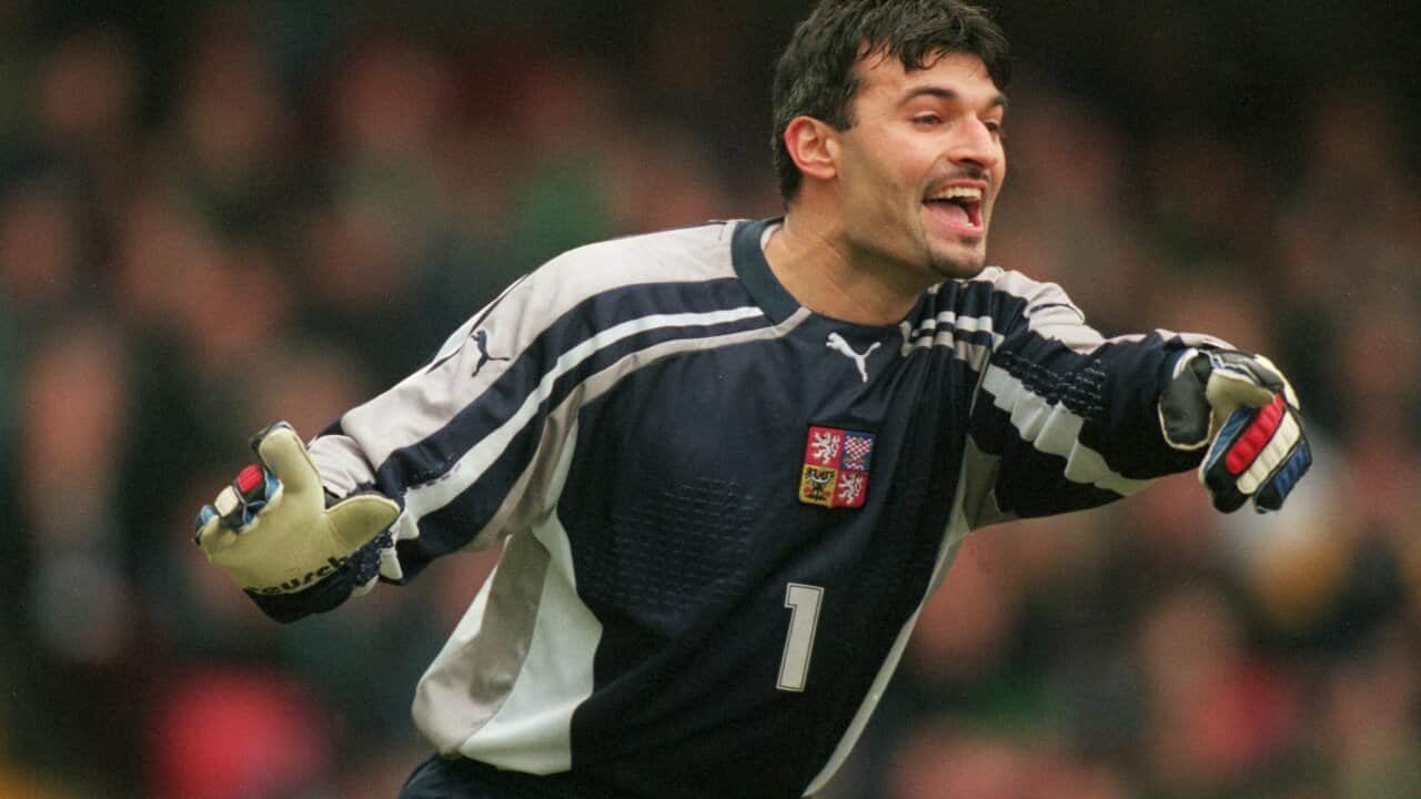 Pavel Srnicek