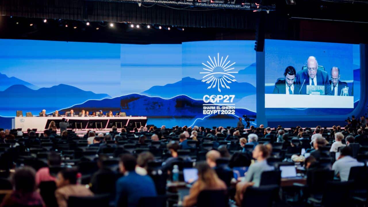 The Plenary Session of the UNFCCC COP27 climate conference on November 20, 2022 in Sharm El Sheikh, Egypt.