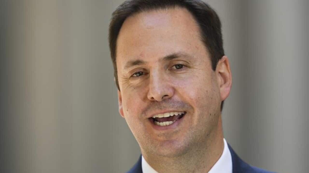 Steve Ciobo is pushing for Australia to be exempt from US steel and aluminium import tariffs.