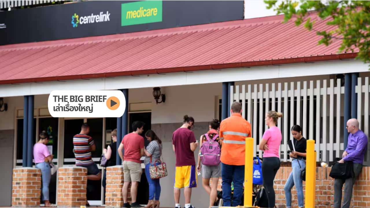 The Big Brief HEADER (1).png