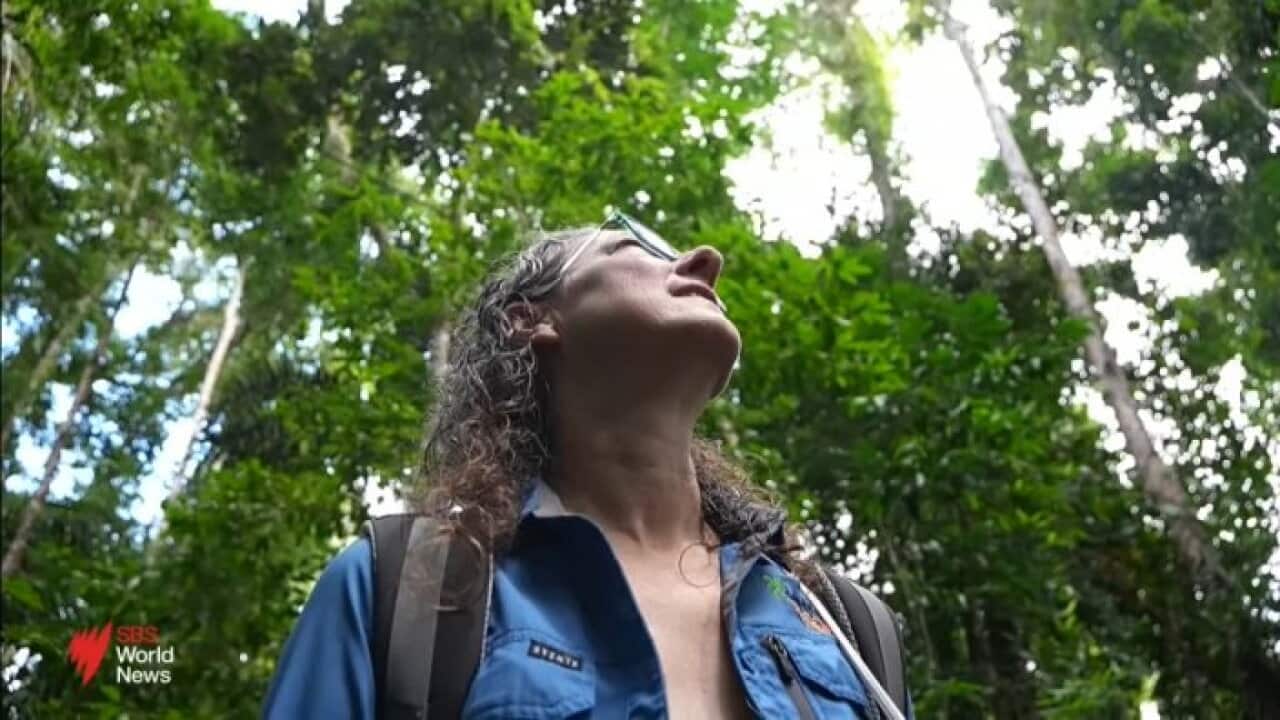Daintree community power their lives using diesel.jpg