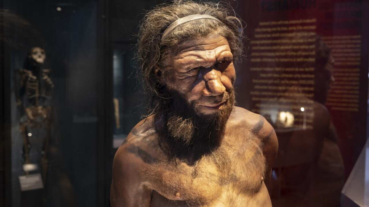 Natural History Museum In London