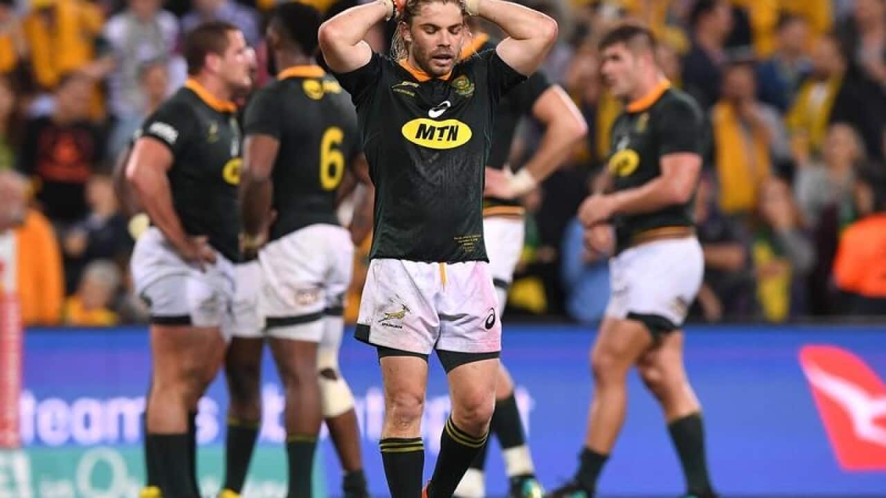 Springboks