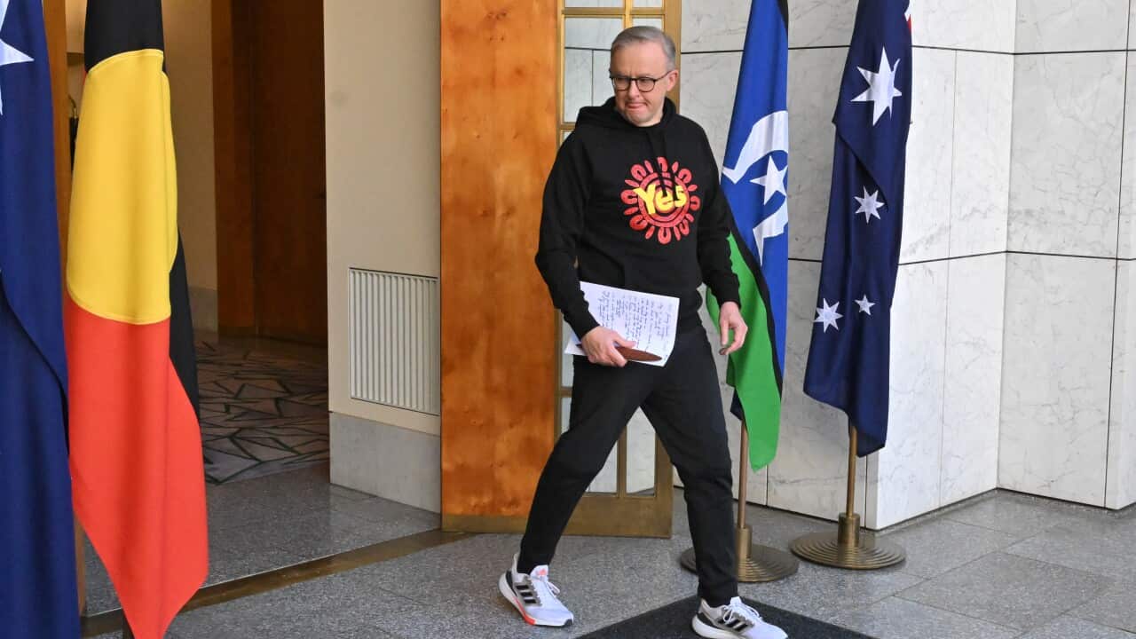 ANTHONY ALBANESE MICHAEL LONG PRESSER