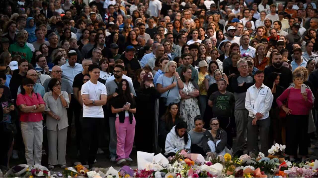 Bondi 2 AAP Bianca de Marchi.jpg