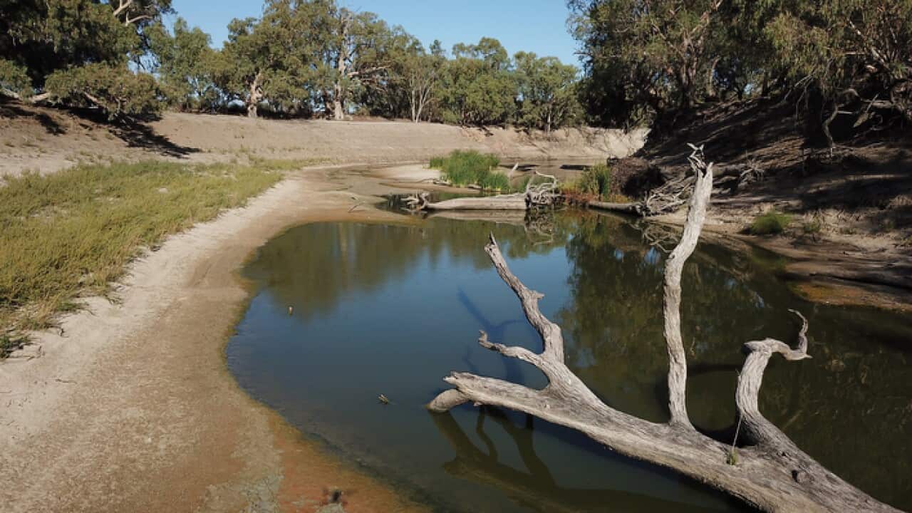 Diminishing water levels on the Darling River below weir 32 near Menindee.