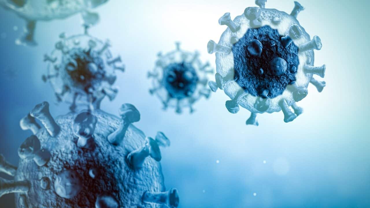 Coronavirus