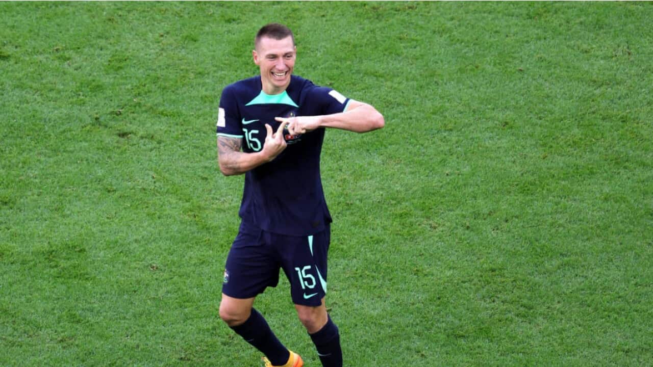 Mitchell Duke celebrates, dedicating his goal against Tunisia to his son. (AAP).png