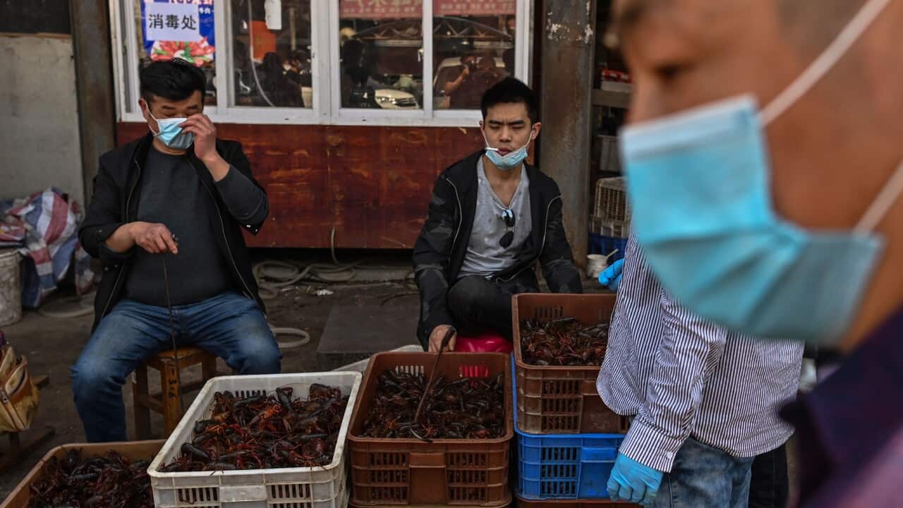 Image for read more article ''