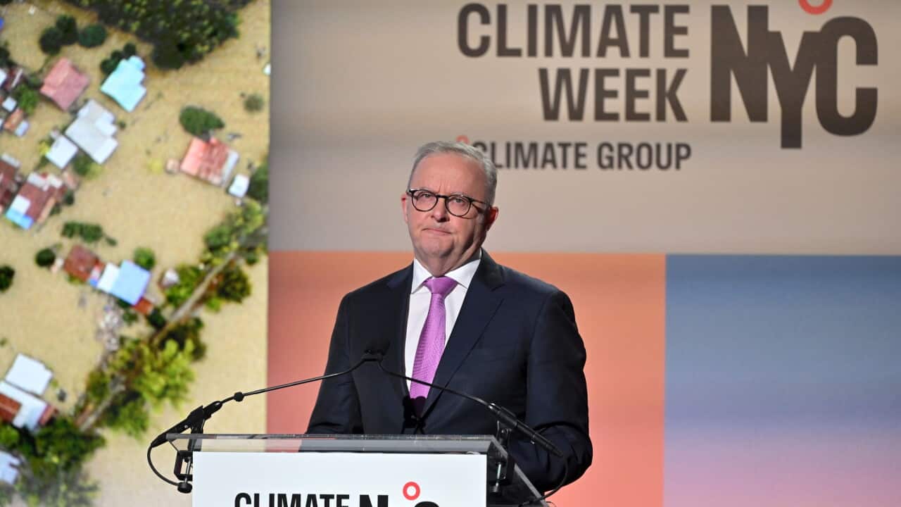 Anthony Albanese speaks at the opening ceremony of the Climate Week NYC event (AAP).