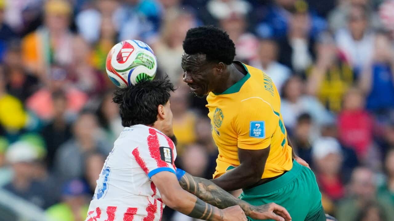 Australia Paraguay World Cup Daily