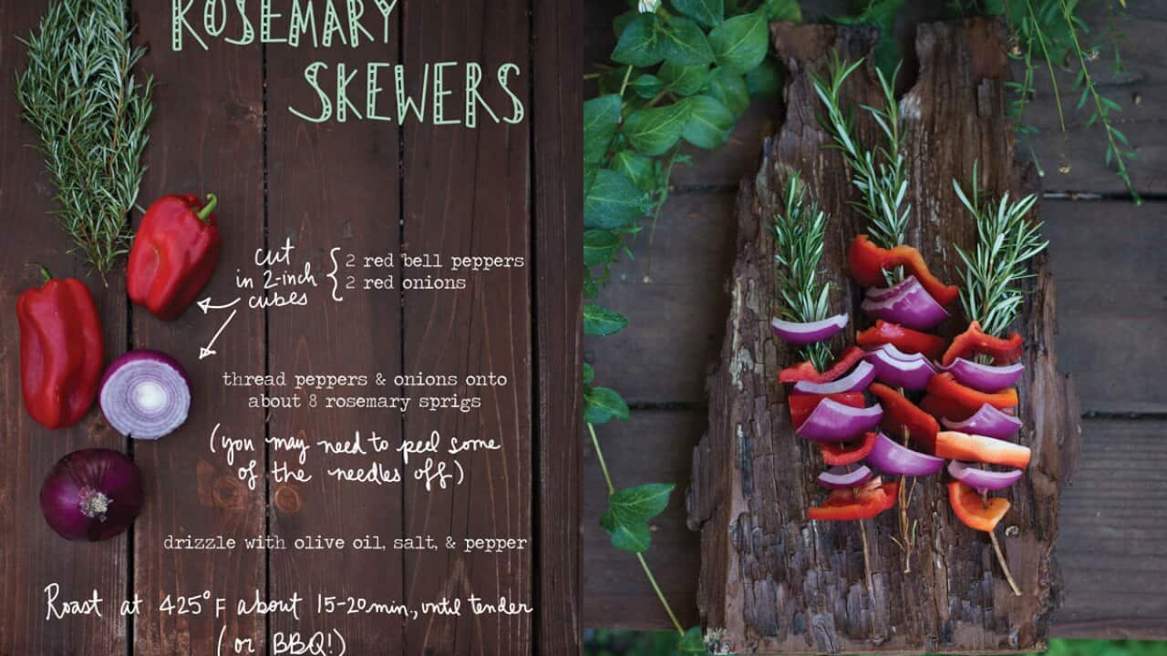 Rosemary_Skewers_ForestFeast.jpg