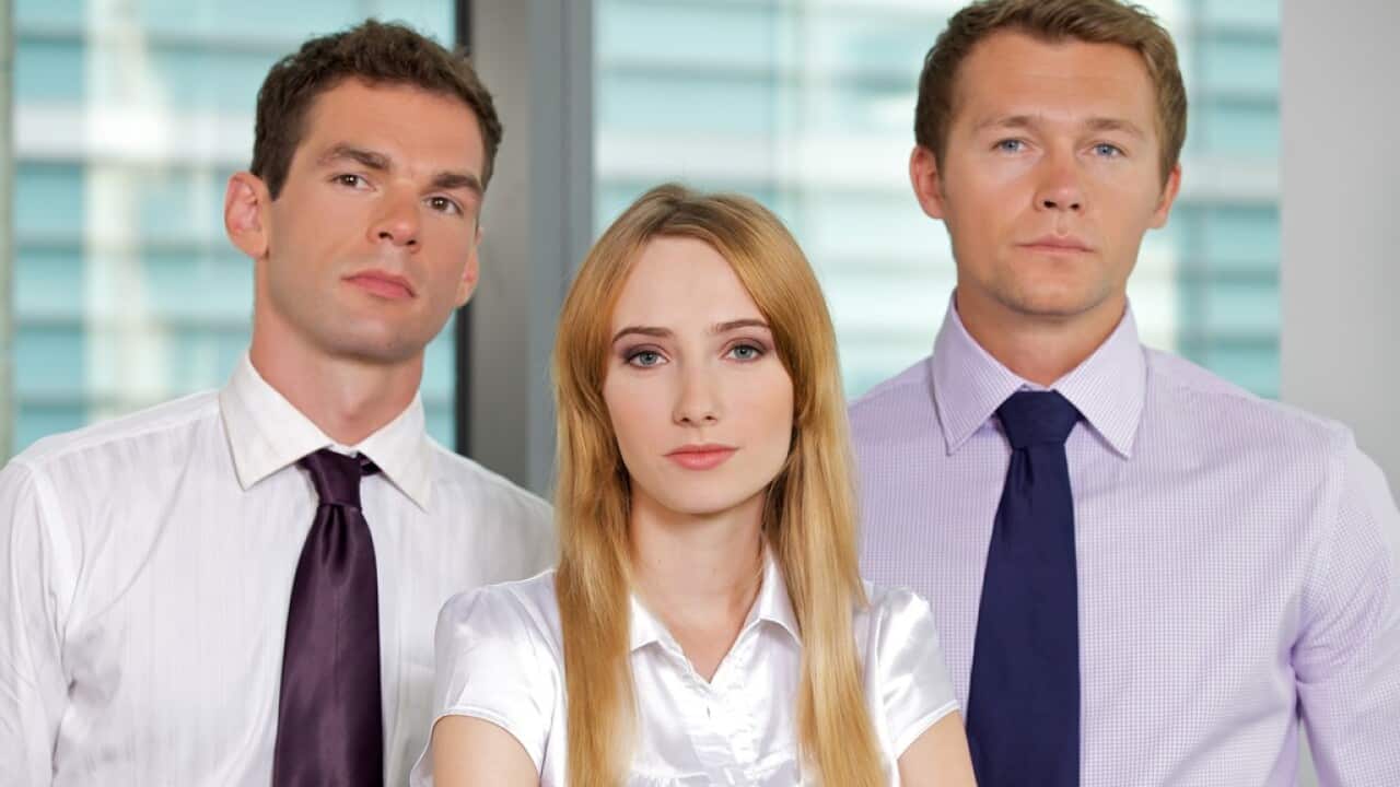 Portrait of business executives at office