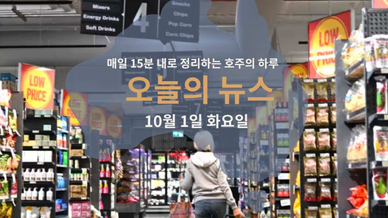 15news_web27 (1).png