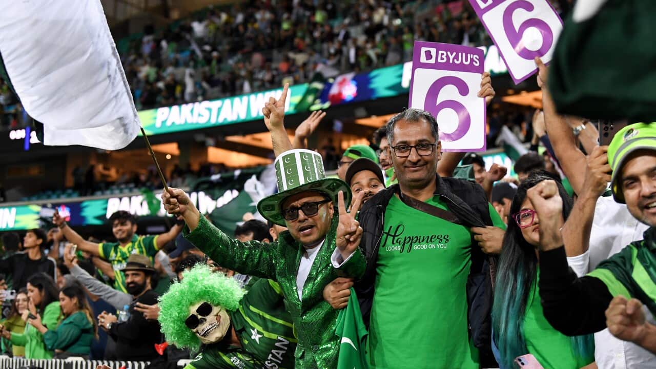 CRICKET T20 WORLD CUP NEW ZEALAND PAKISTAN