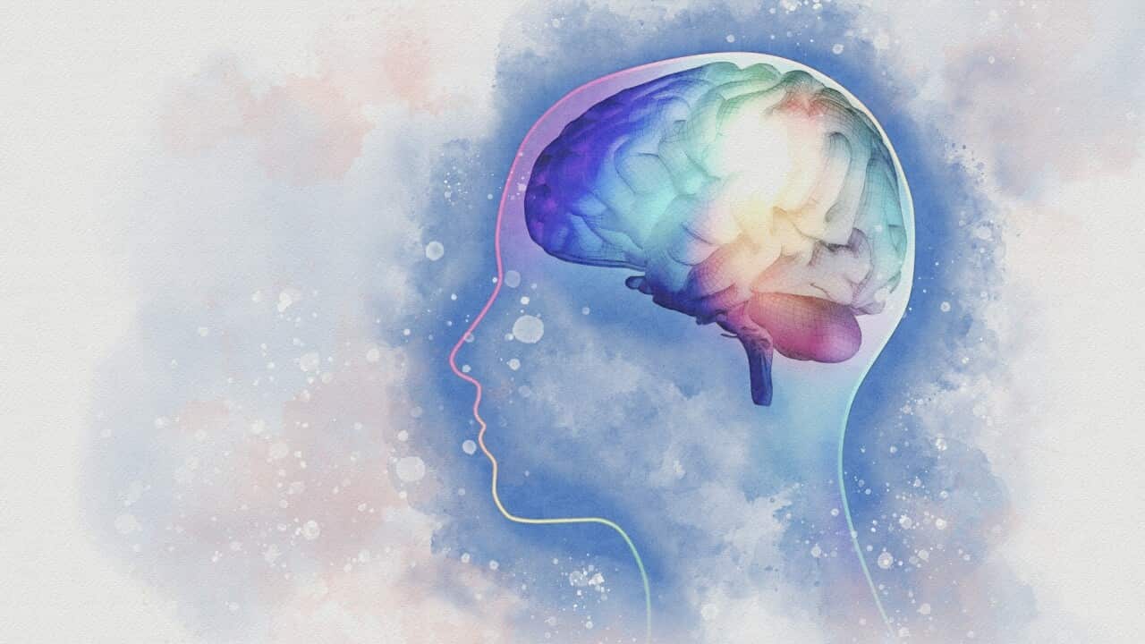 Human brain, illustration