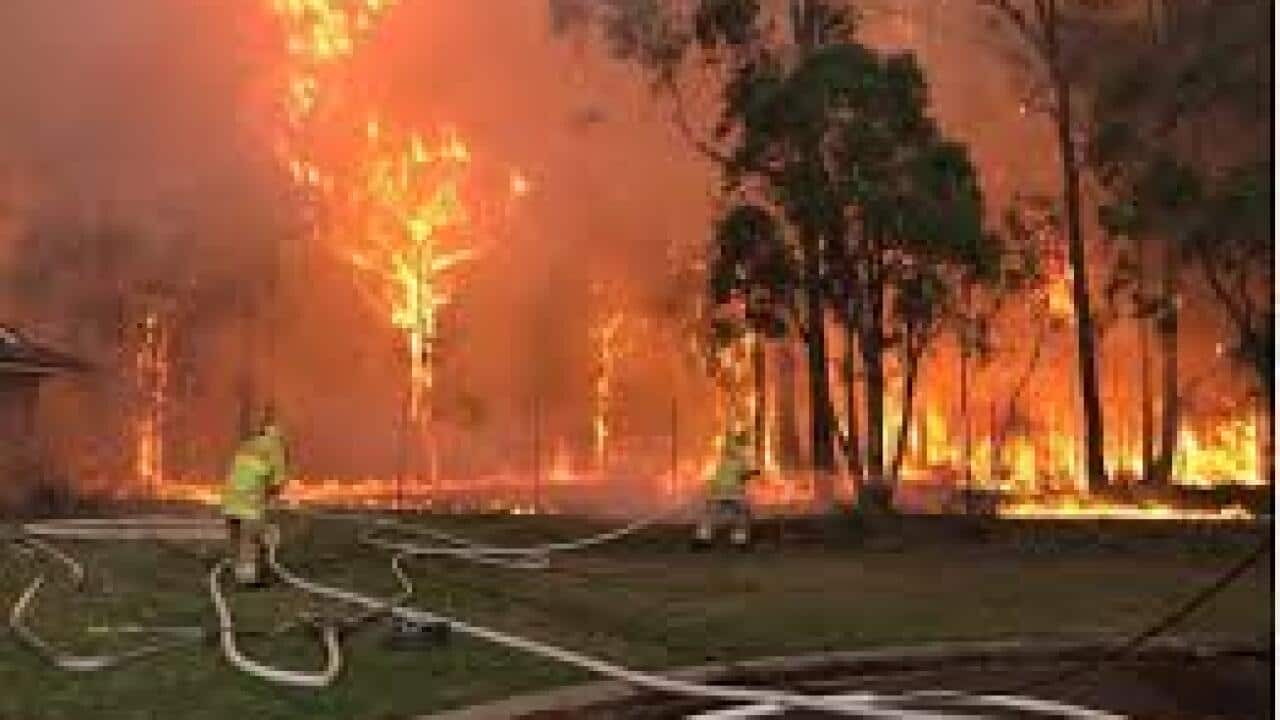 bushfires nicolien van vroonhoven