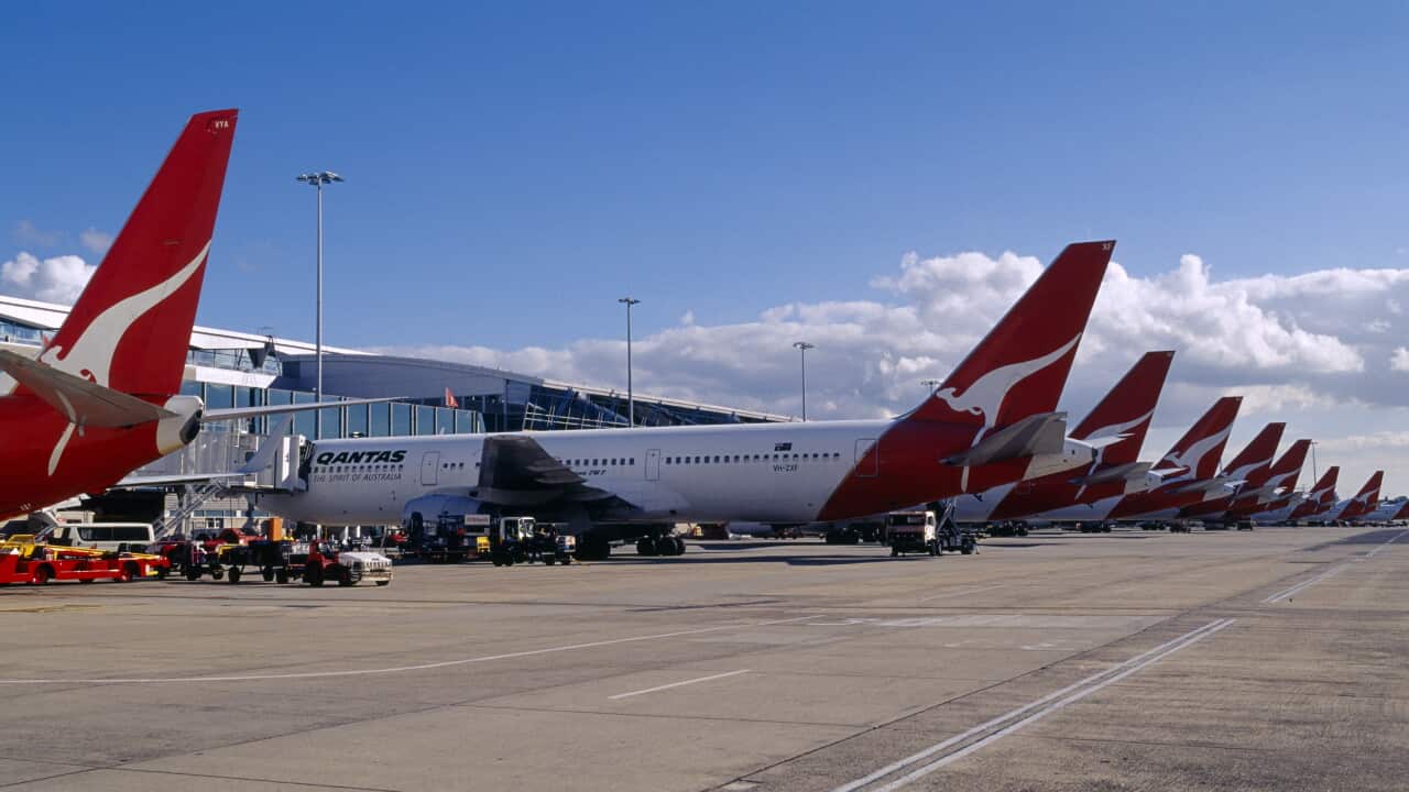 A row of jet airplanes parked at a terminal to collect passengers.