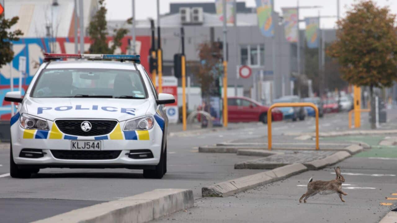 New Zealand has been lockdown for four weeks in an attempt to minimise the spread of the Covid-19 virus.