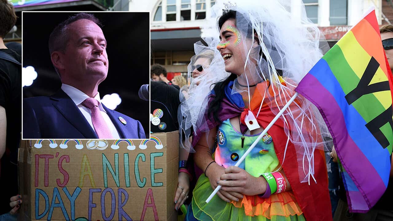 Opposition Leader Bill Shorten (inset) and a marriage equality supporter.