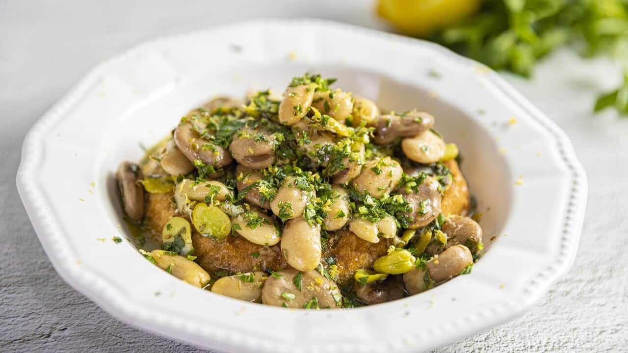 A shallow while bowl holds a barely-visible piece of bread, topped with a bean mixture.