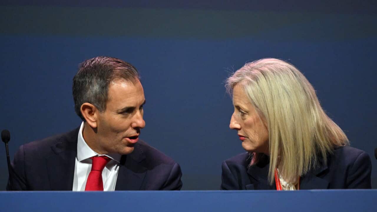 ALP NATIONAL CONFERENCE