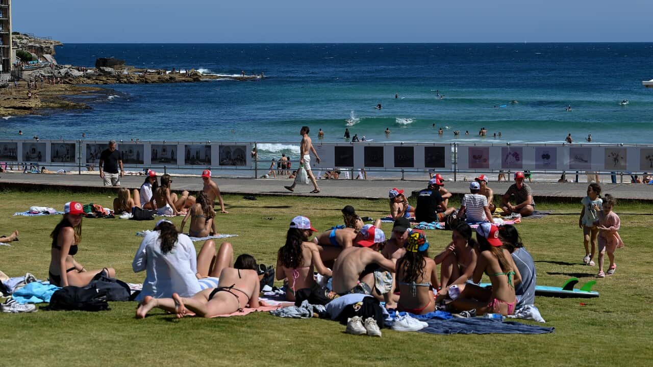 雪梨Bondi beach 是遊客必到之地