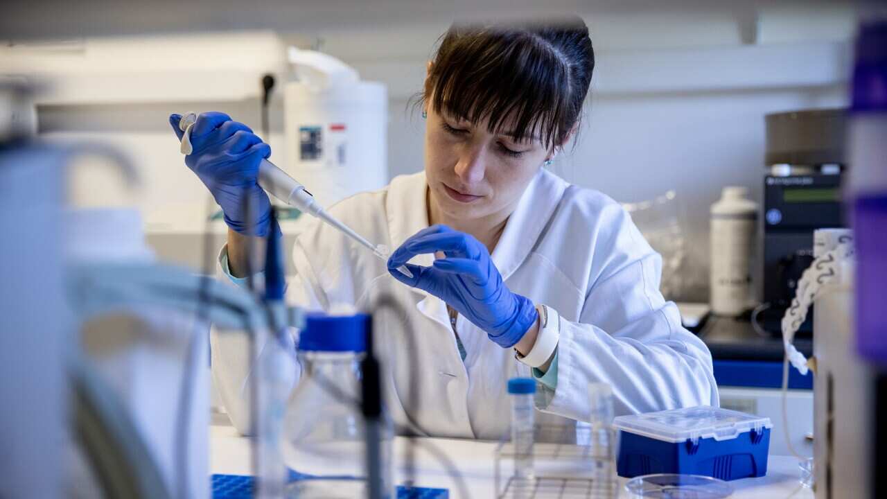 Scientists