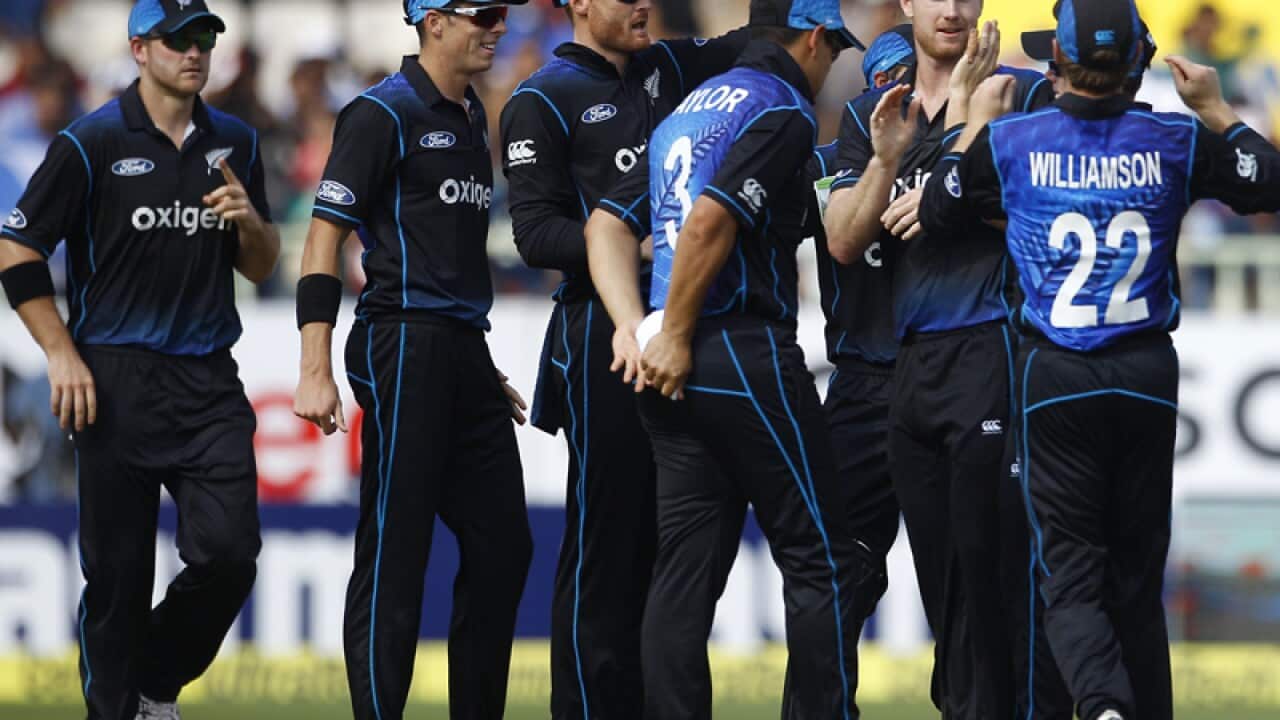 New Zealand cricketers celebrate a wicket