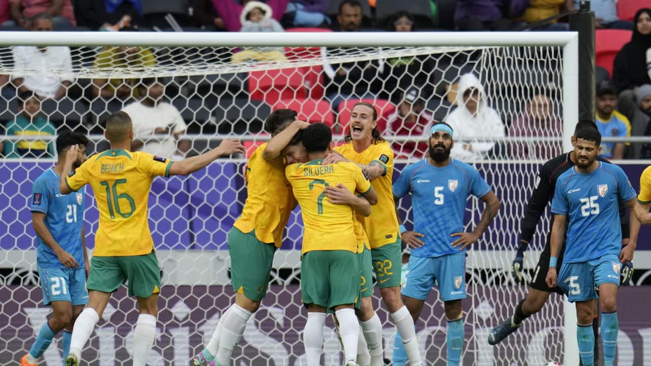 Qatar Australia India Asian Cup Soccer