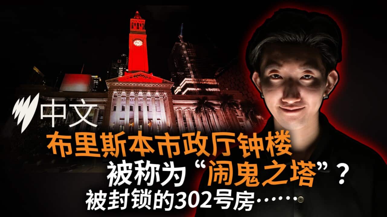 050625 SC BRISBANE CITYHALL THUMBNAIL.jpg
