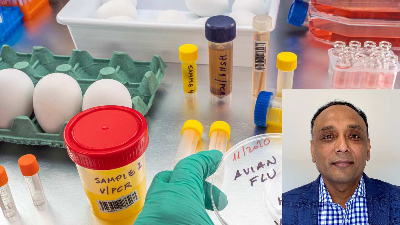 Untitled design (2).png