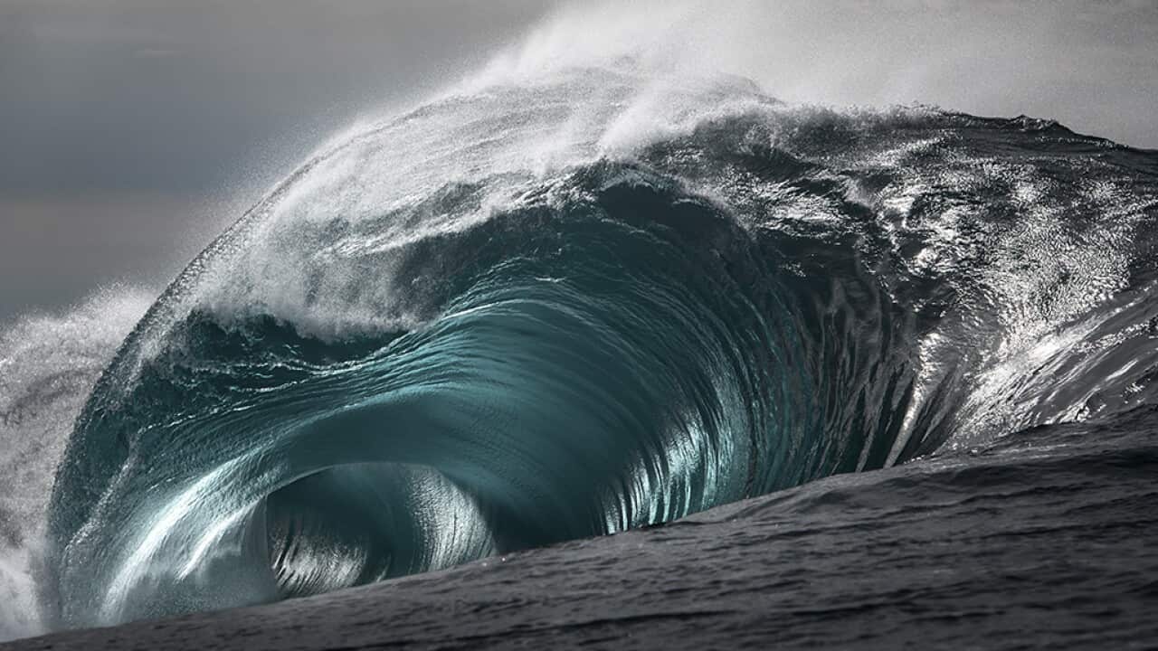 'Phoenix' by Ray Collins