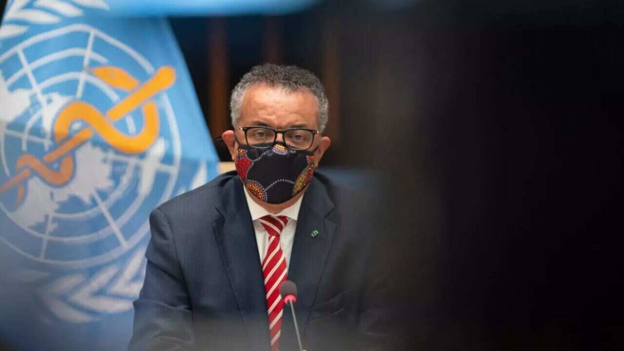 SBS Tigrinya News