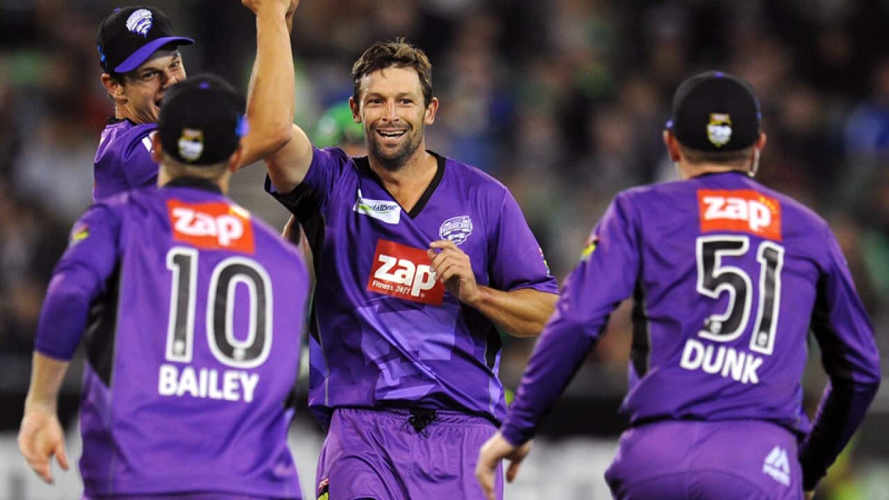 Hobart Hurricanes players celebrate taking a wicket