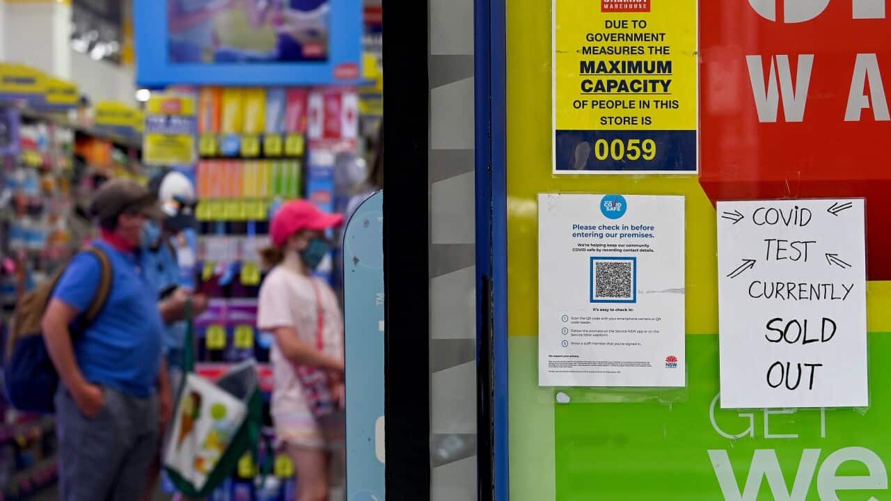rat tests kits price