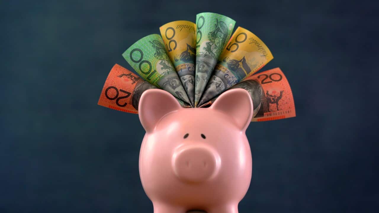 Pink Piggy bank money concept on dark blue background