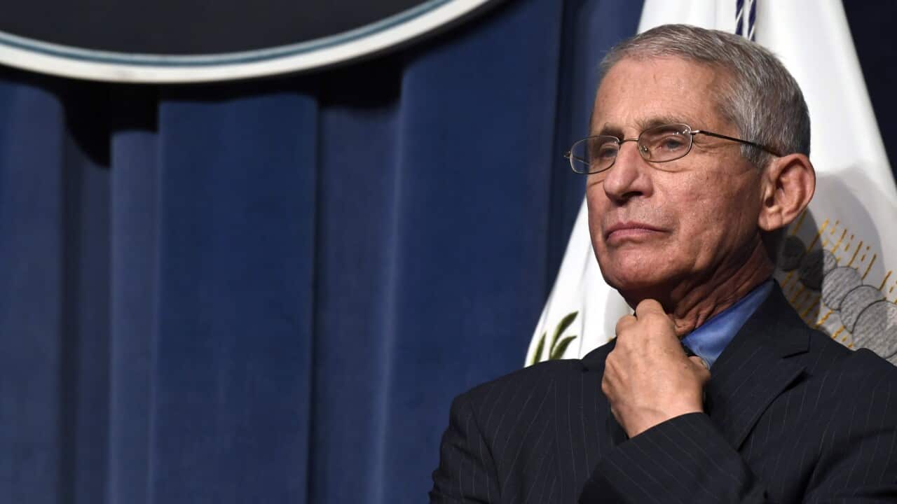 Dr Anthony Fauci, right, director of the National Institute of Allergy and Infectious Diseases in the United States.