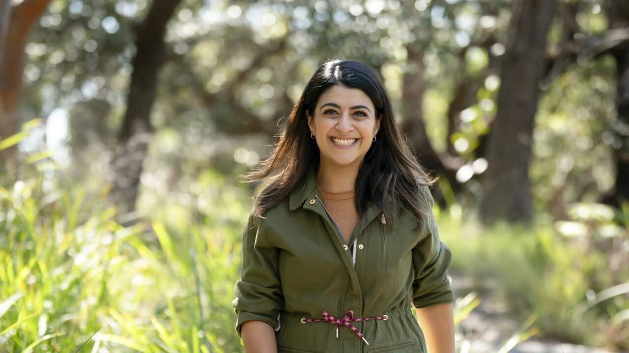 gaws2---susie-youssef cropjpg.jpg