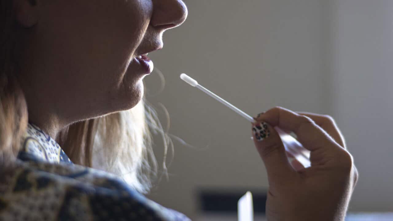 Experts warn the risks associated with DNA testing may not be worth the reward. 